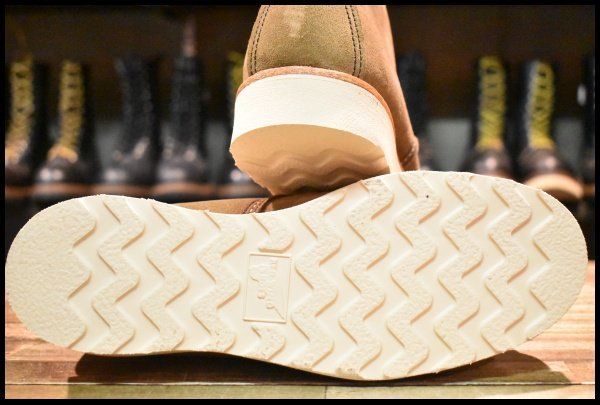 アイリッシュセッター オリーブモハヴェ