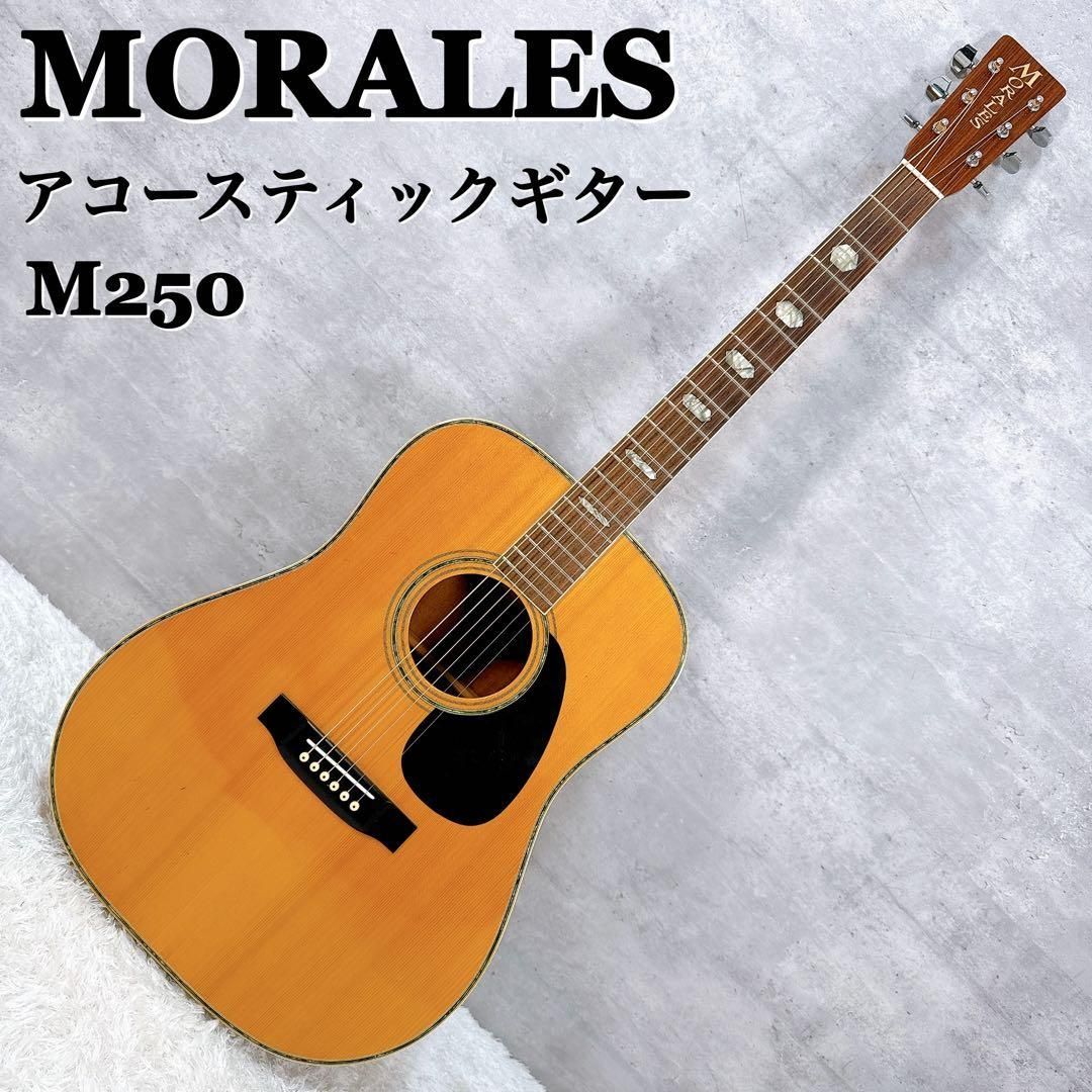 MORALES モラレス アコースティックギター M250 Zen On 全音 縦ロゴ