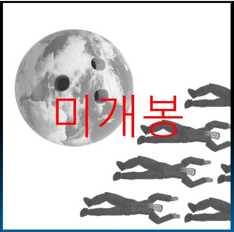 オールド イングリッシュ シープドッグ ー dude CD