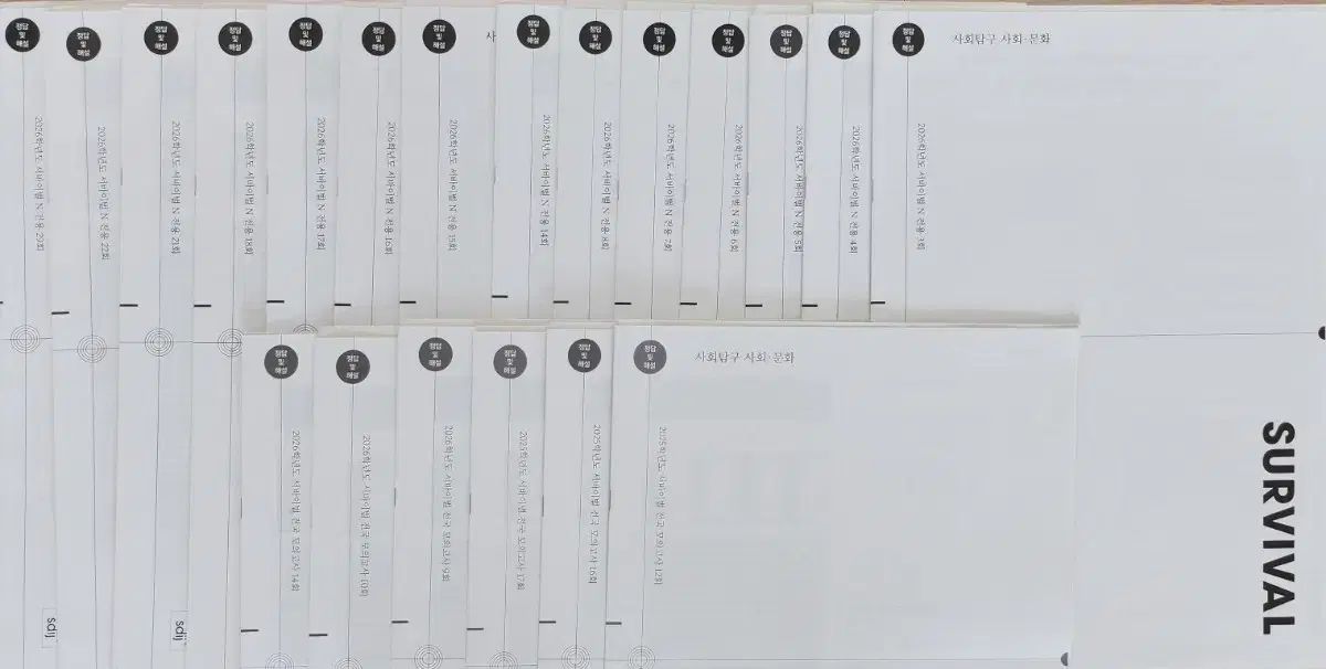 社会文化 模擬試験 時代人材 サバイバル N 全国 20回分