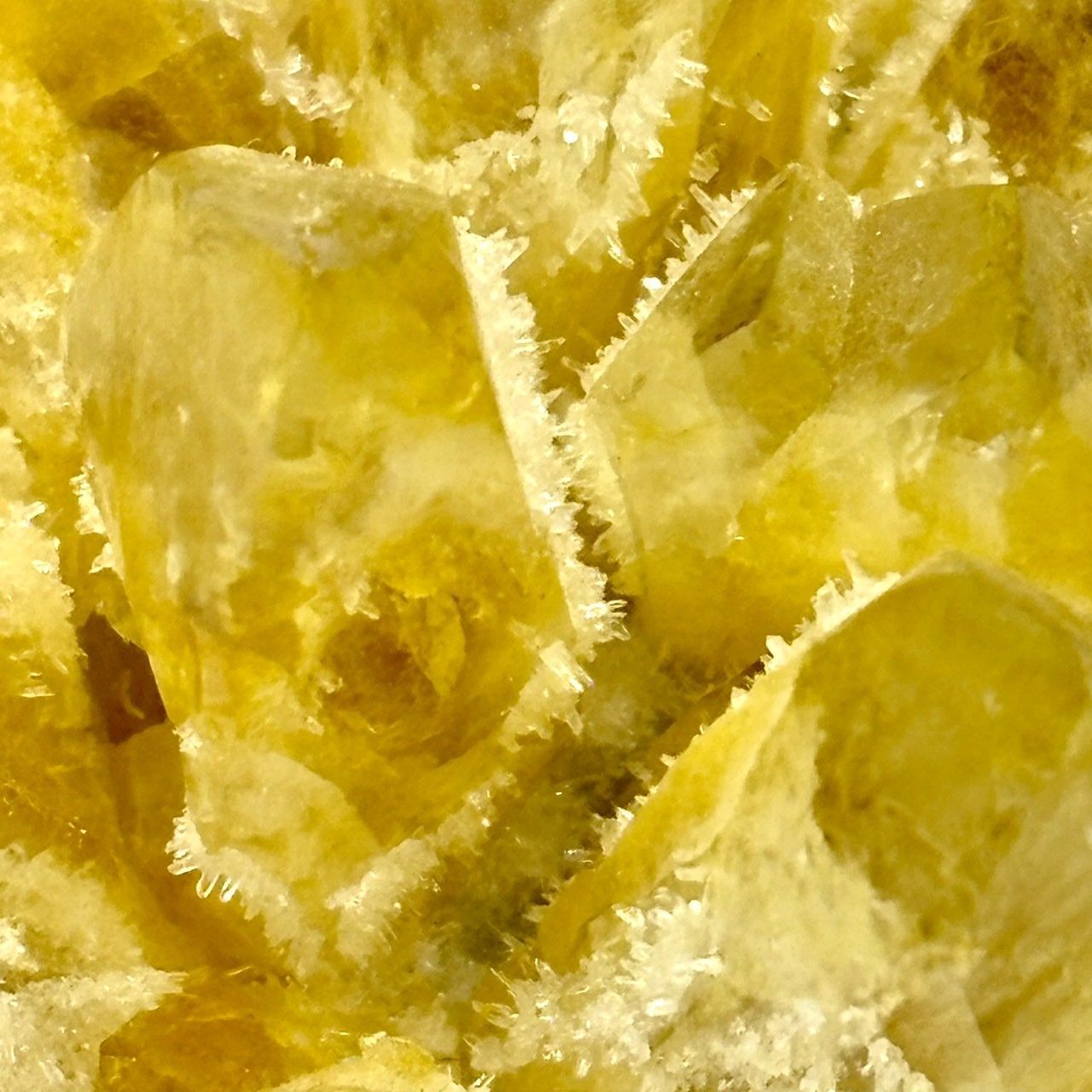 成功と前向きさの象徴