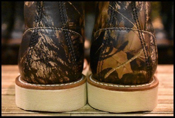 8884 アイリッシュセッター