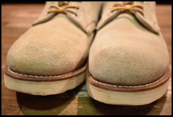 アイリッシュセッター