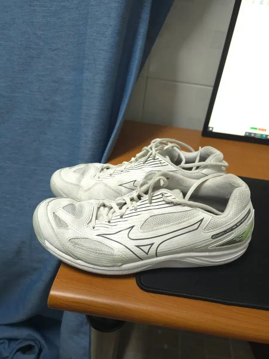 ミズノ サイクルオン スピード バレーボールシューズ 白 270