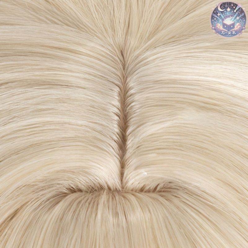 新品 未使用 聖約イグゼキュター アークナイツ コスプレ ウィッグ