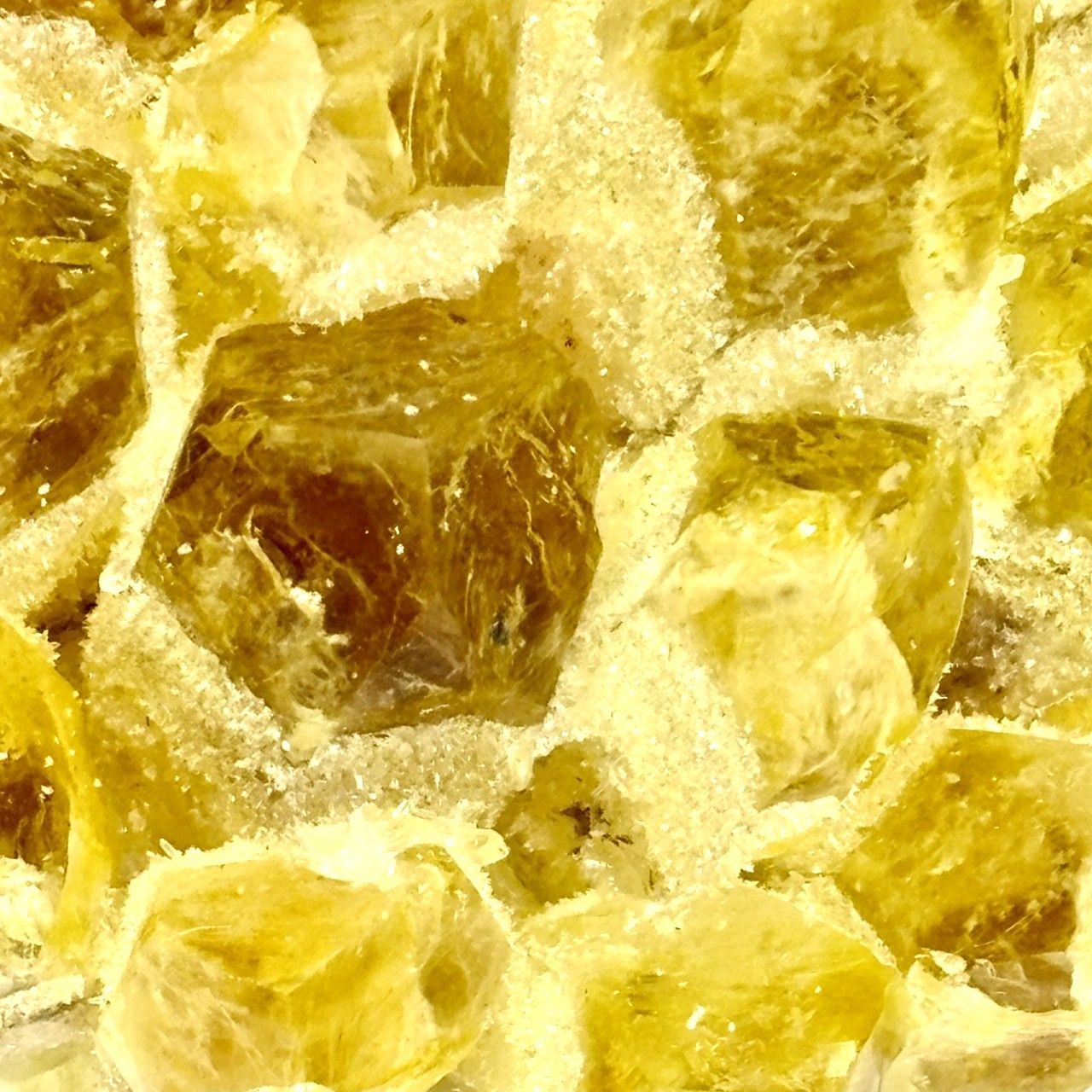 クラスター 558g