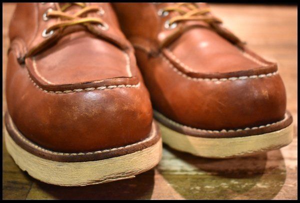 アイリッシュセッター オロラセット