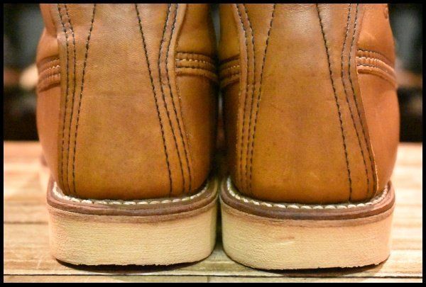 アイリッシュセッター