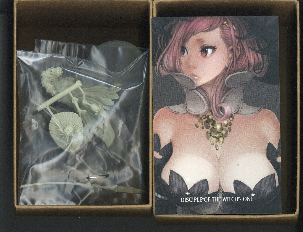 KINGDOM DEATH DISCIPLE OF THE WITCH ONE