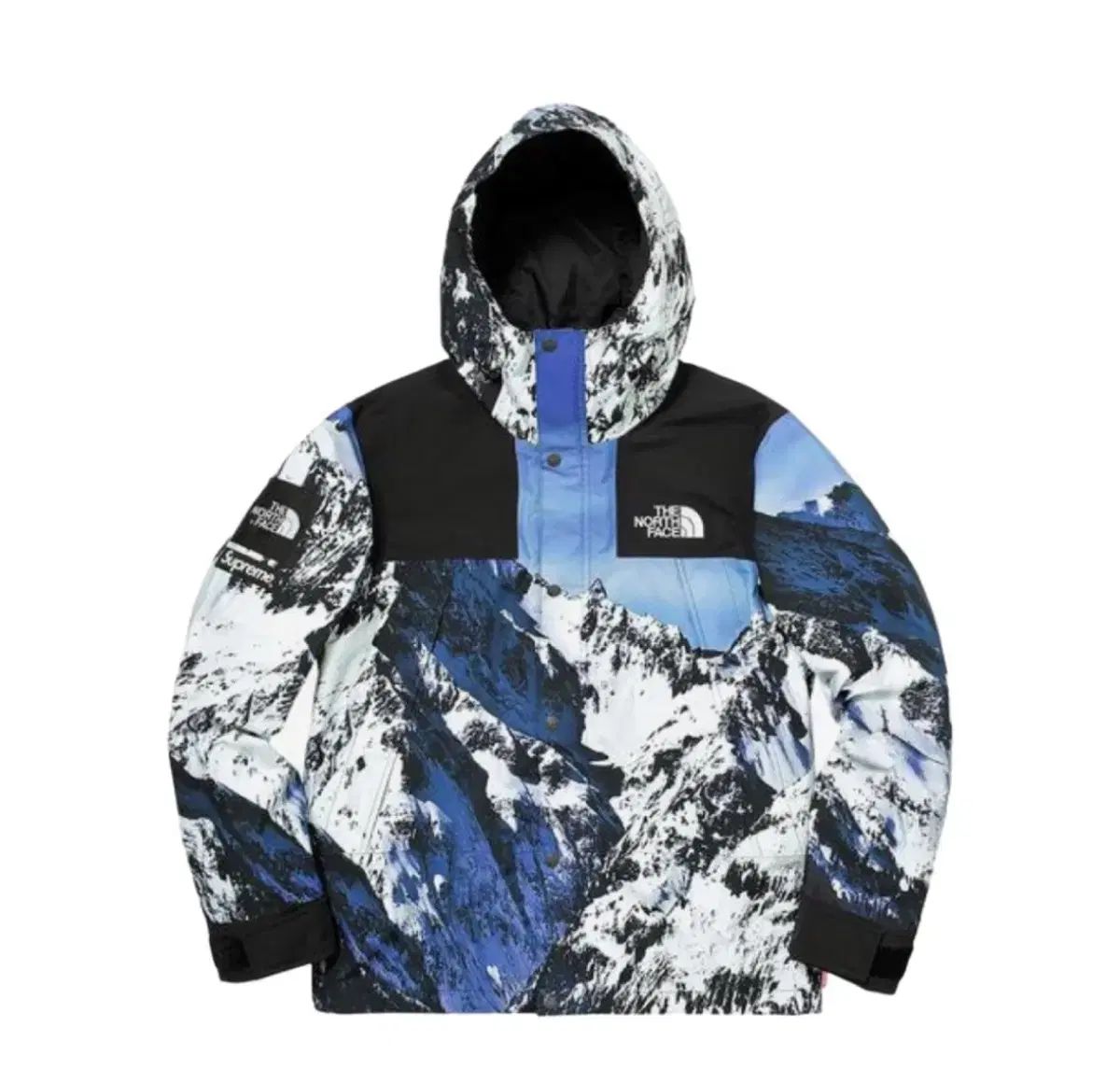 Supreme THE NORTH FACE ザノースフェイス マウンテン ジャケット