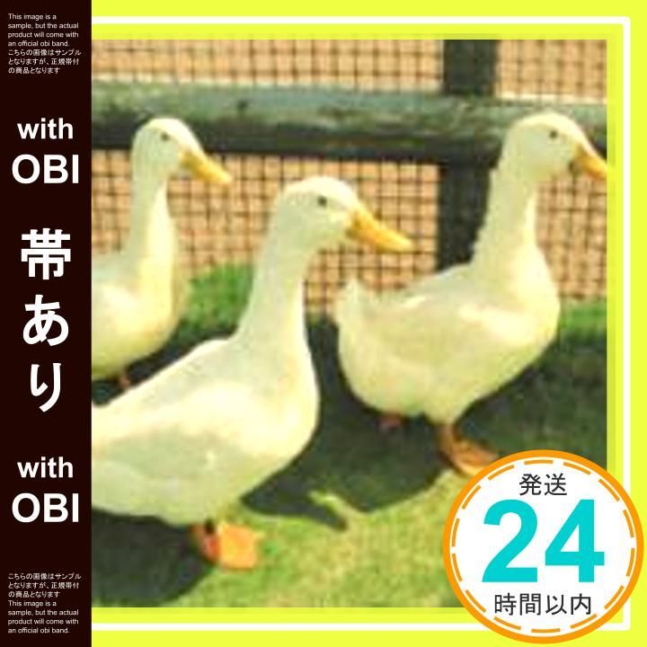 帯あり スワロー CD 音速ライン? 藤井敬之 音速ライン_07