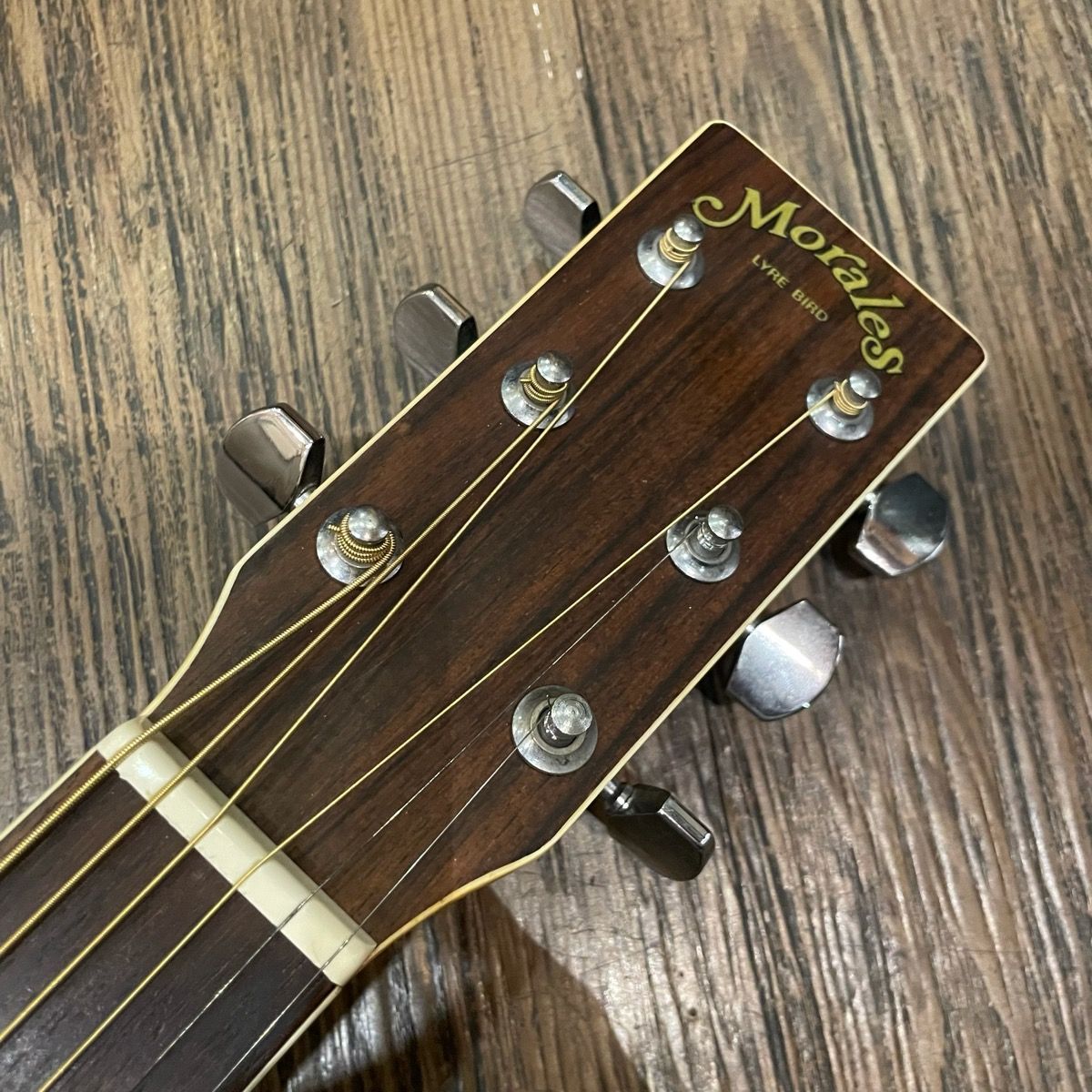 Morales M-18 Lyre Bird Acoustic Guitar アコースティックギター