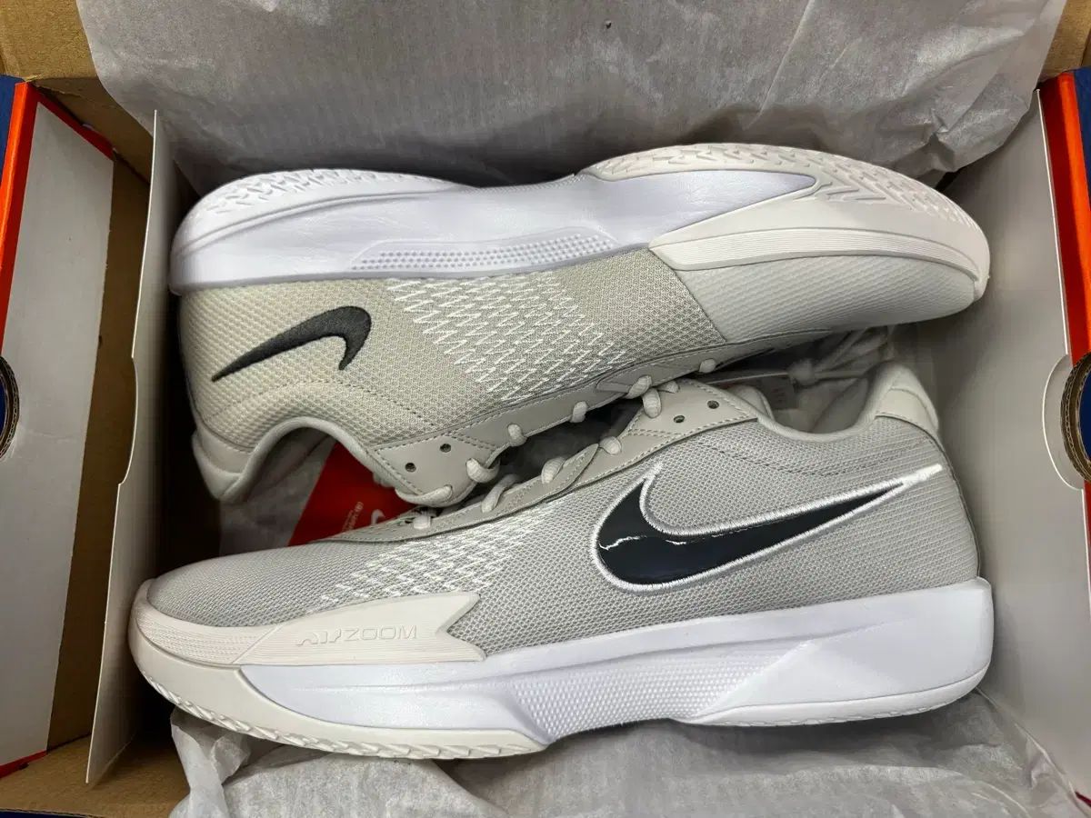 GT CUT アカデミー サイズ 300