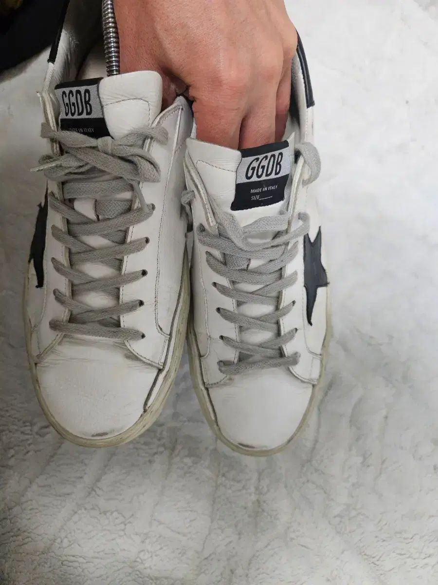 ゴールデングース ハイスタースニーカー 白 黒