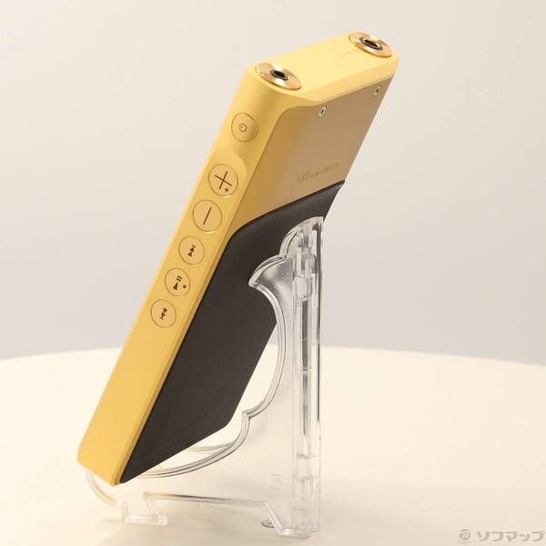 〔 品〕 WALKMAN WM 1 ZM 2 メモリ256 GB microSD ゴールド NW 377