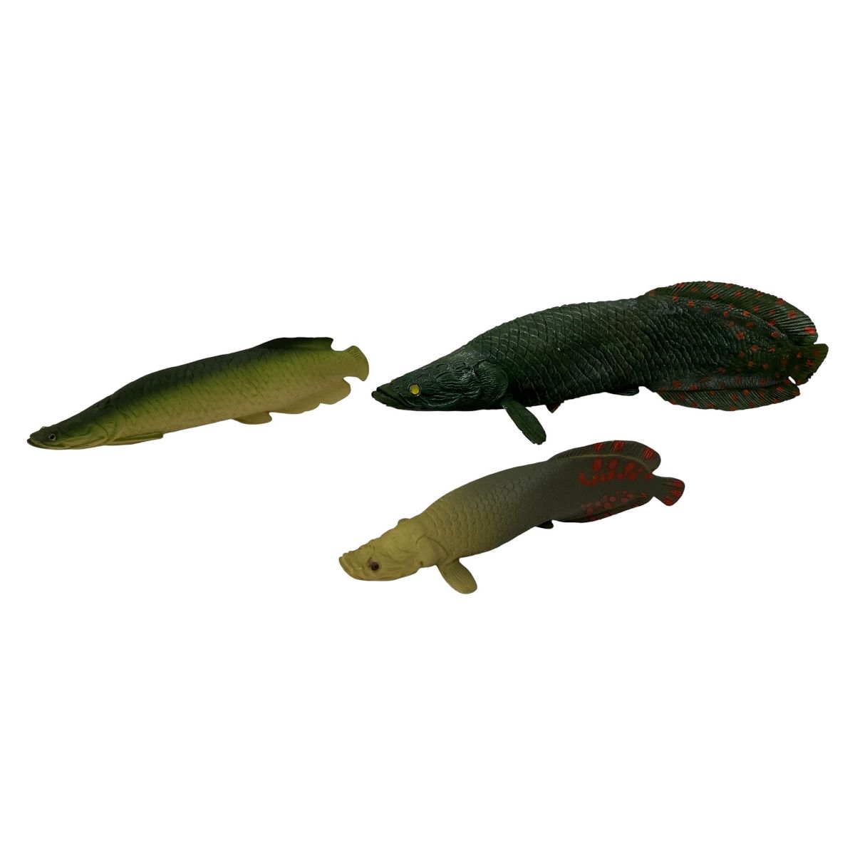 詳細不明 ジオラマ ピラルク コレクション品 ガレージ キット フィギュア