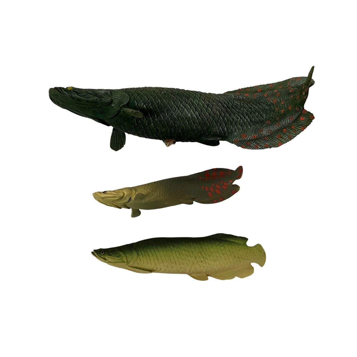 詳細不明 ジオラマ ピラルク コレクション品 ガレージ キット フィギュア