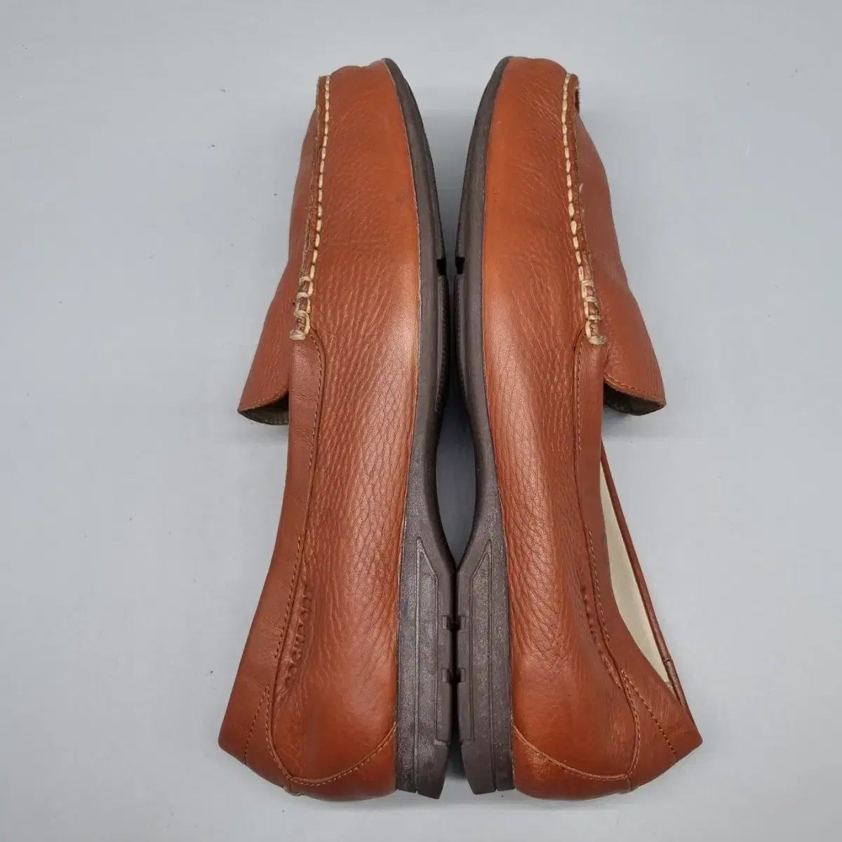 ロックポート セミ