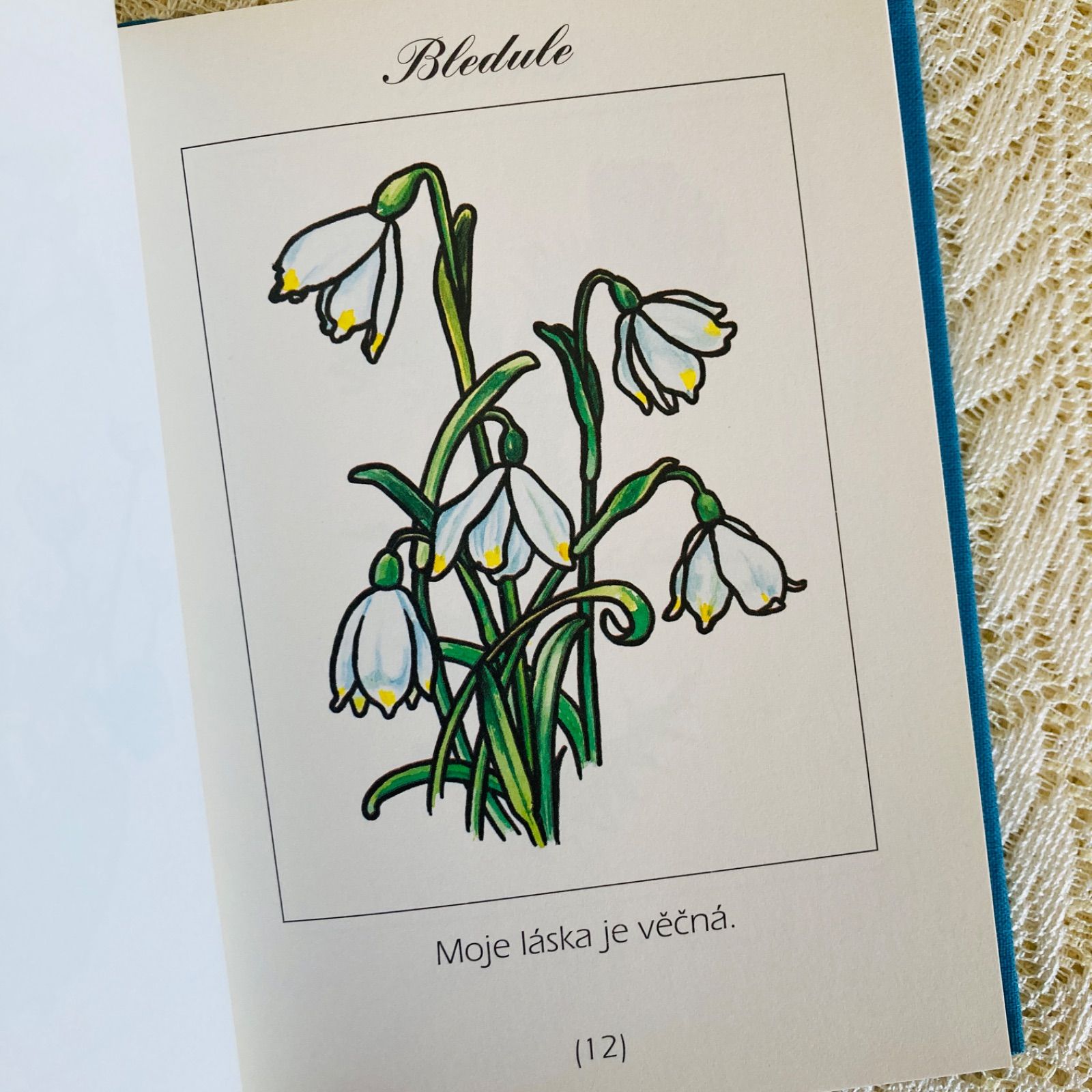 洋書　古書　チェコの古い絵本　春を彩る童謡集・詩集　鮮やかで美しい挿絵♡ 洋書 古書 チェコの古い絵本 春を彩る童謡集・詩集 鮮やかで美しい挿絵