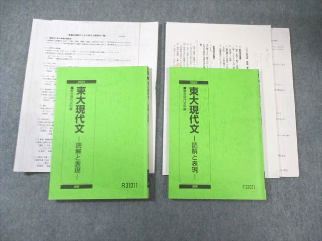 駿台 東大現代文ｰ読解と表現ｰ テキスト通年セット 2024 計2冊 中野芳樹