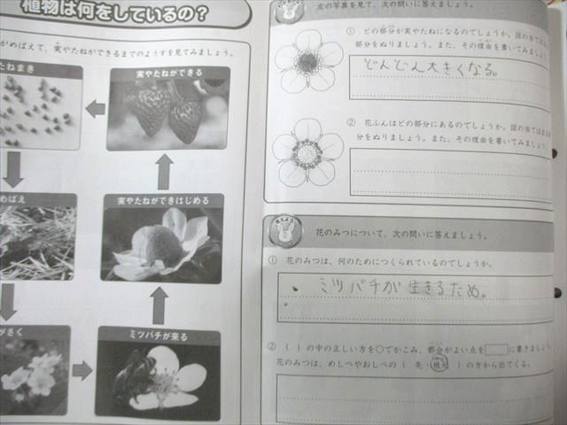 SAPIX 小3 サイエンス・ウォッチ デイリーサピックス(330-01～17) 理科