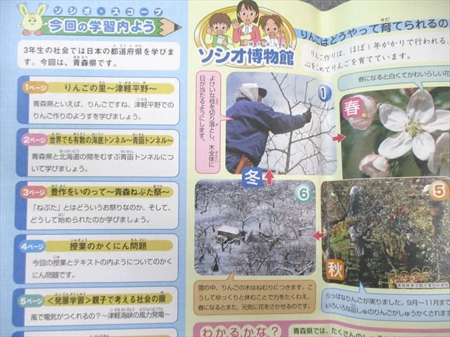 SAPIX 小3 サピックス ソシオ・スコープ デイリー/サマー/ウインター