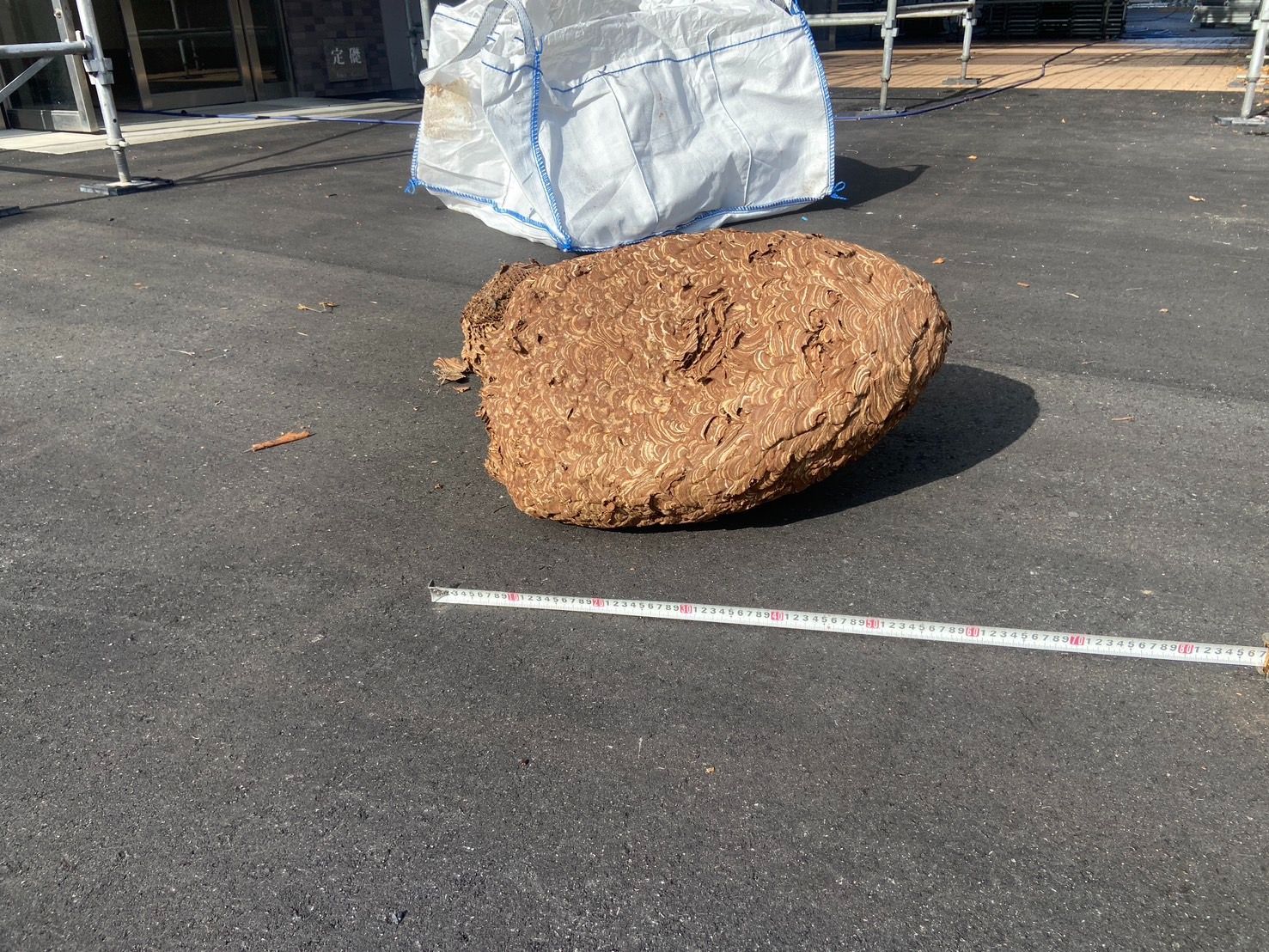  お値引き スズメバチの巣 魔除け 商売繁盛 縁起物 ブリキ雑貨 置物 インテリア小物