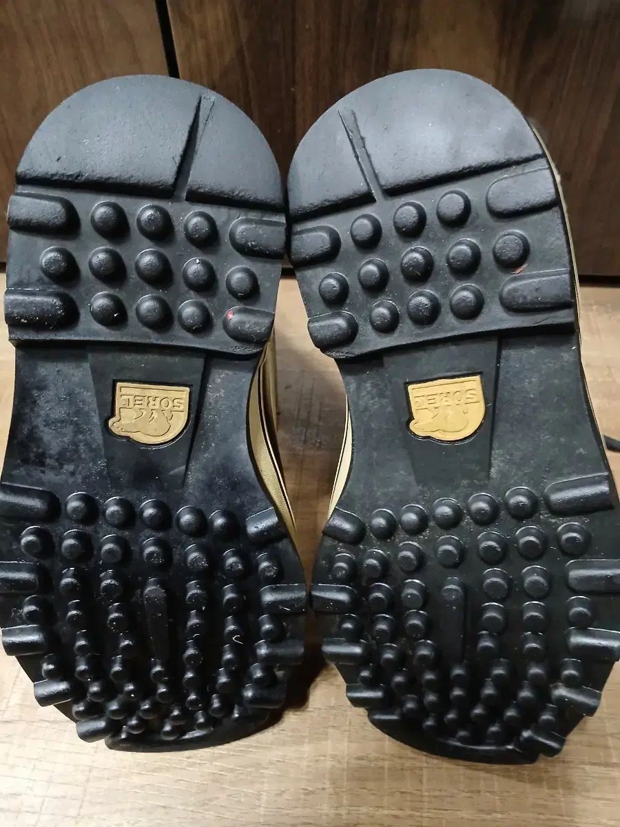 ソレル カリブー