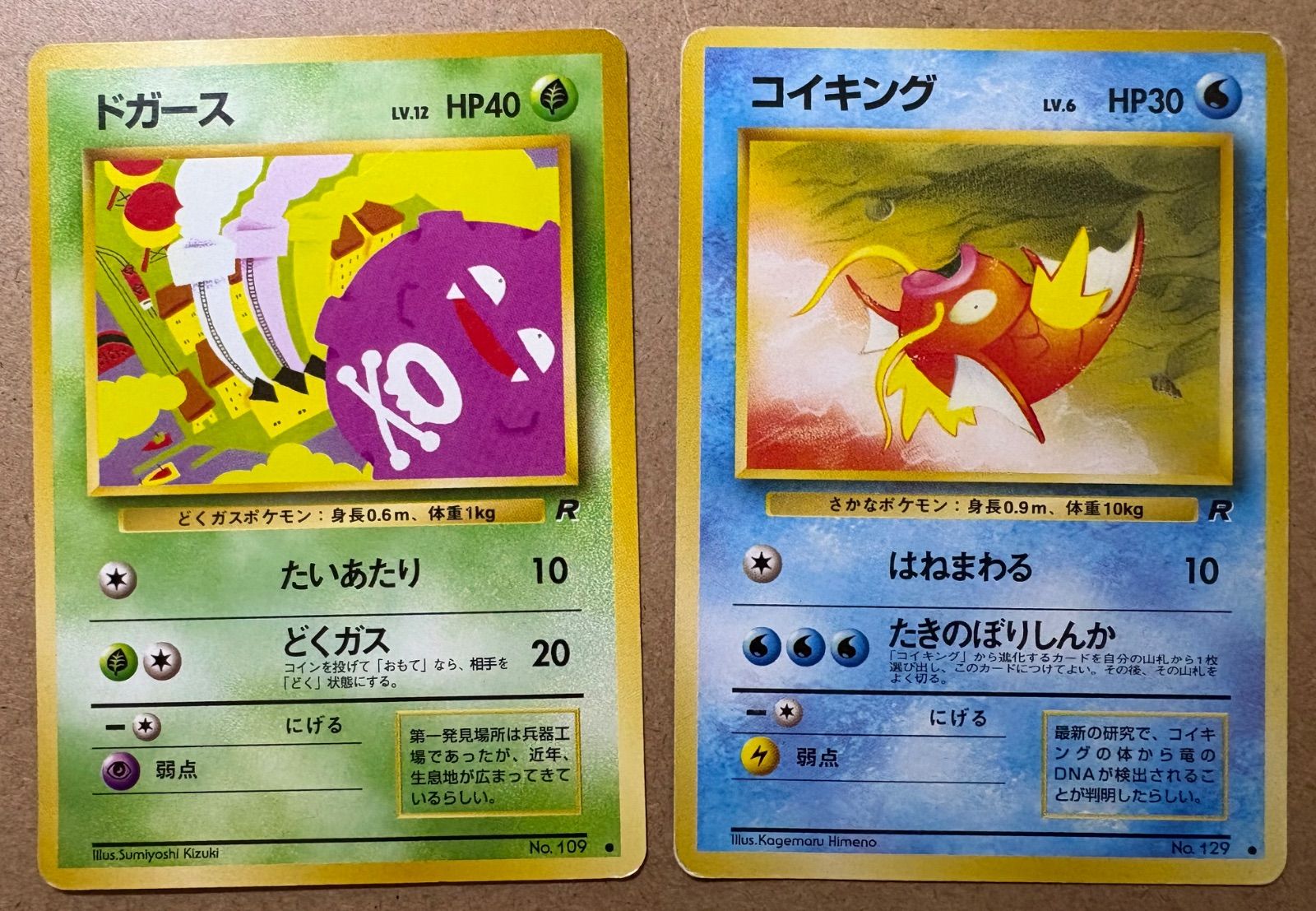 わるいシリーズのドガース＆コイキング(Rマーク/ダメージ特価品