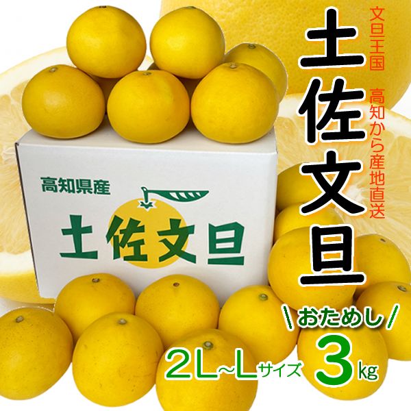 113高知特産 露地栽培 土佐文旦 文旦 約20kg 大玉サイズ 22高知特産 露地栽培 土佐文旦 文旦 約20kg 中玉サイズ