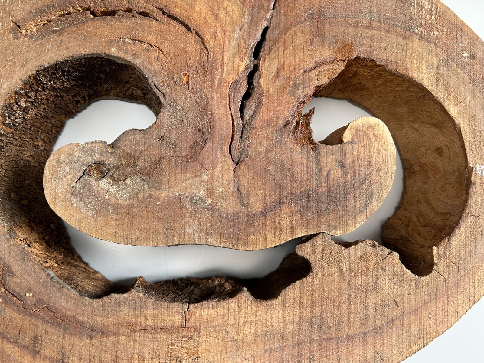  欅 ケヤキ 輪切り オブジェ 厚手 ローテーブル サイドテーブル 木工細工 壁掛け時計 置物 インテリア小物