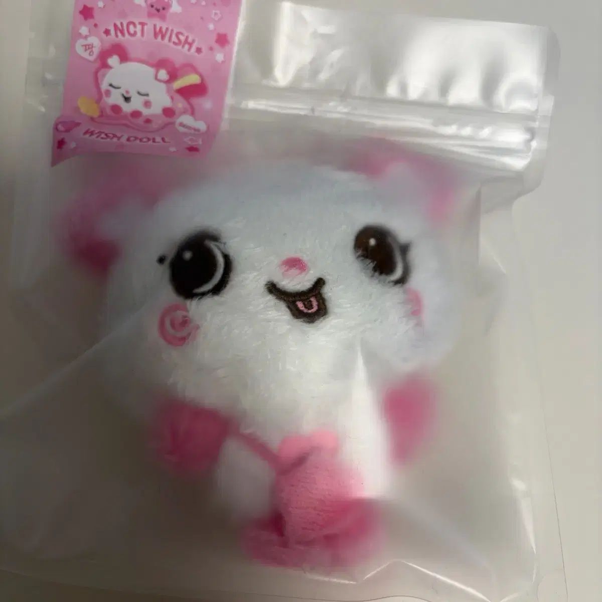 WIND AND WISH ドール 팡이 NCT エヌシーティー サクヤ