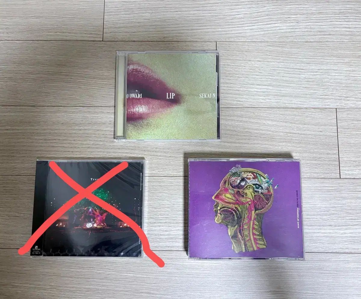 世界の尾張 CD 2 犬 まとめ売り 出品