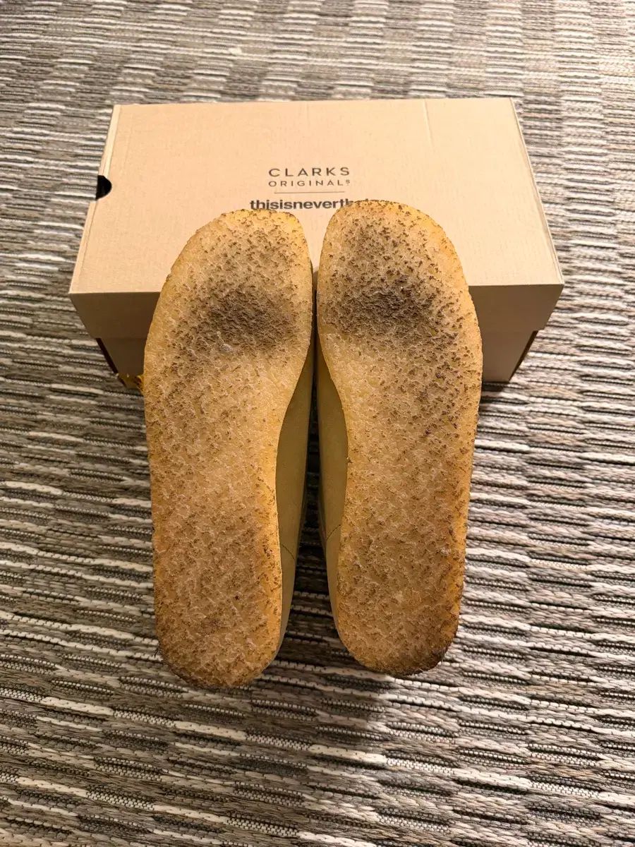 ワラビー メイプル