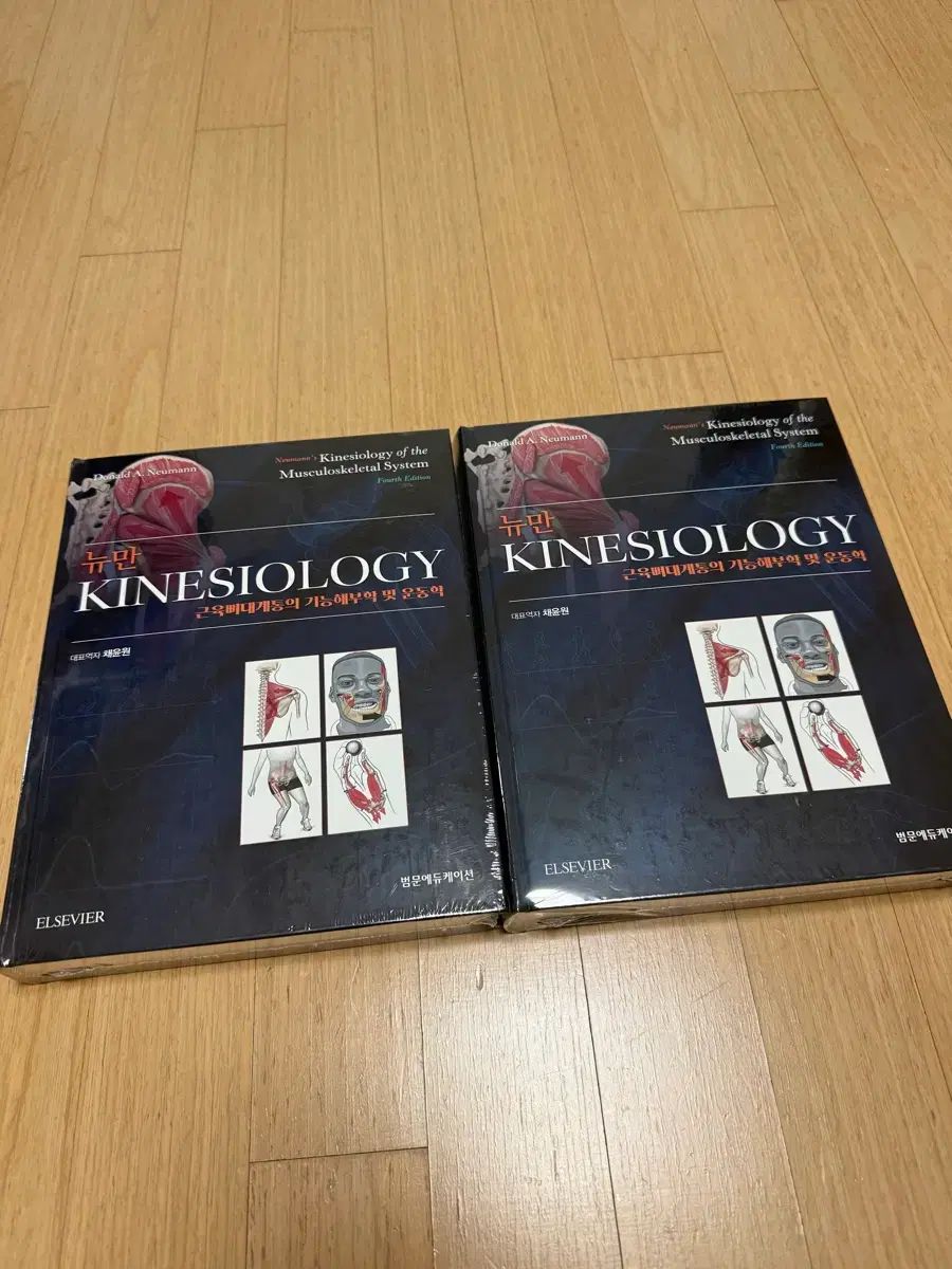 ニューマン kinesiology 4版