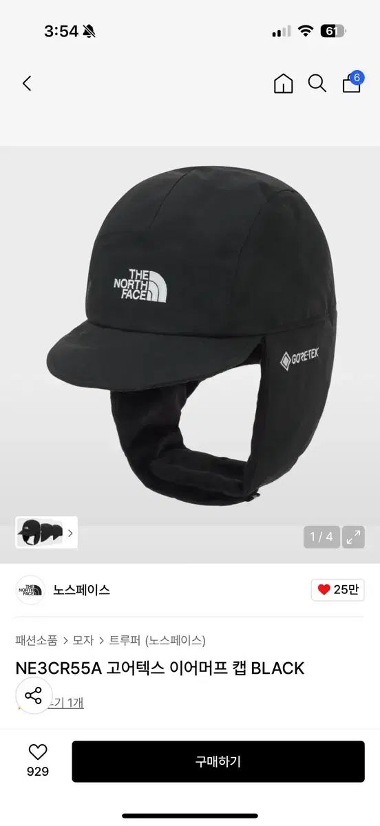 THE NORTH FACE GORE TEX イヤーマフ キャップ ブラック L