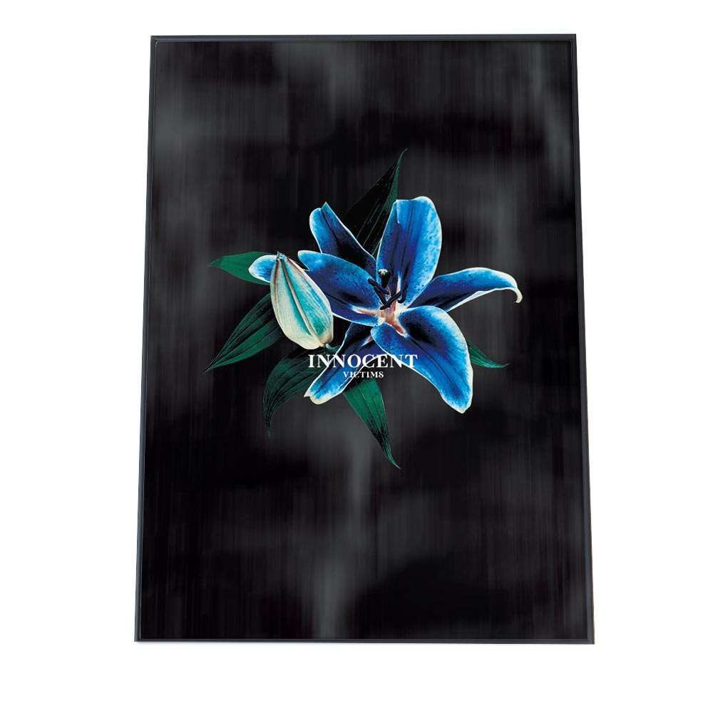 A1サイズ（約59x84cm）】【mo-poster-7】青い花 フラワー 黒背景