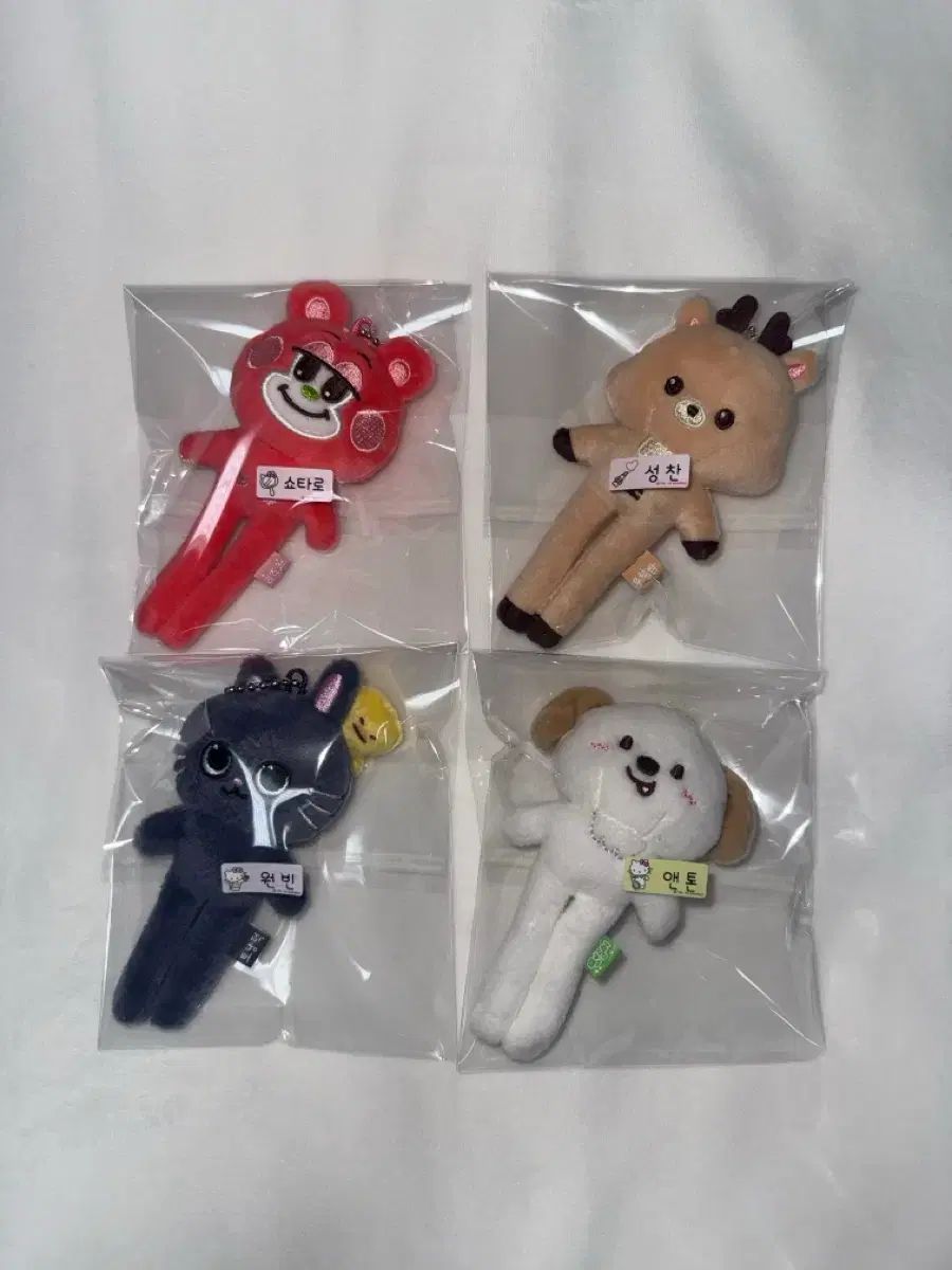 RIIZE ライズ リズ LIZ コ ウロック 밤 トニャンダック 멍룡이 ロングロング足