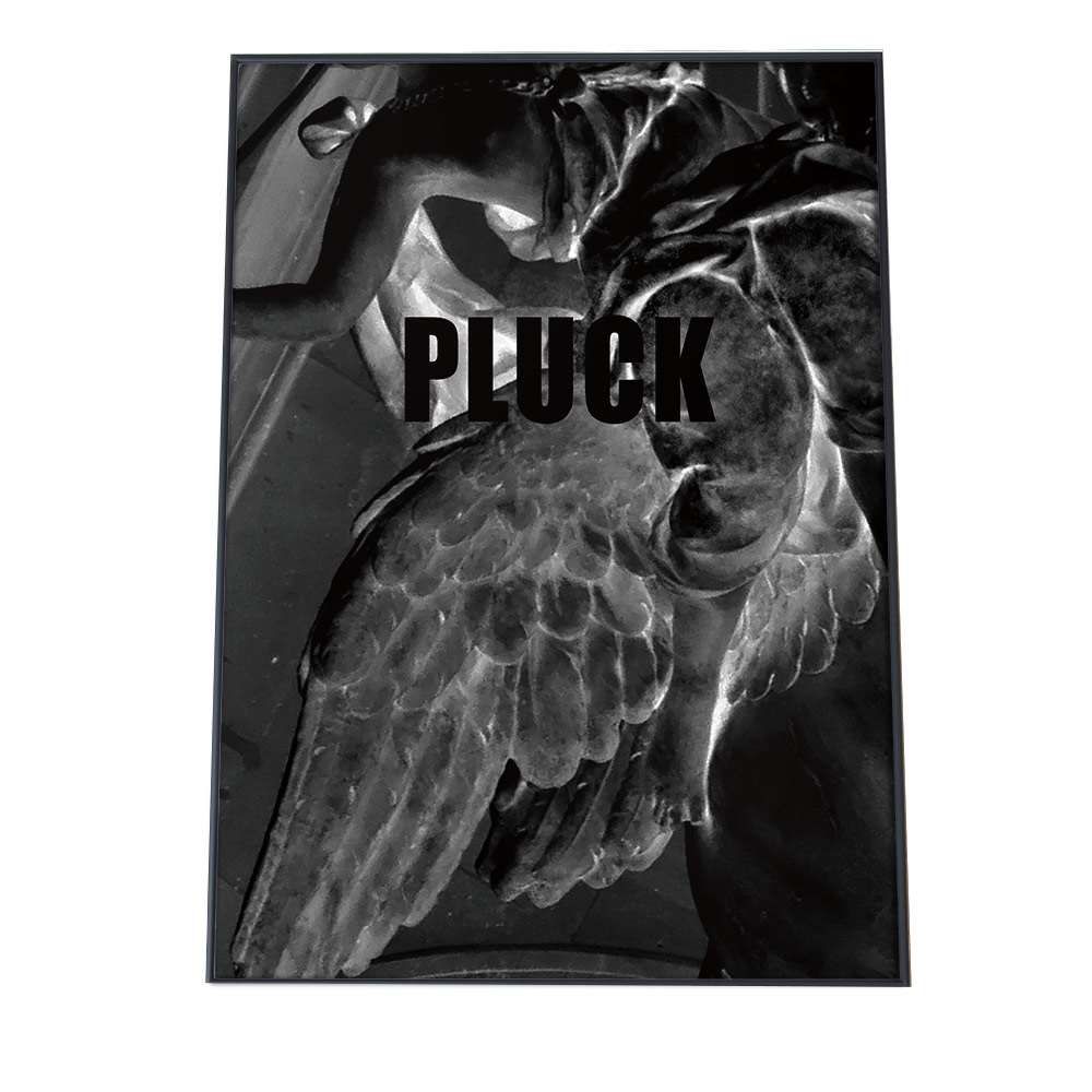 B1サイズ（約73x103cm）】【pbg-poster-2147】白黒 男前 英字