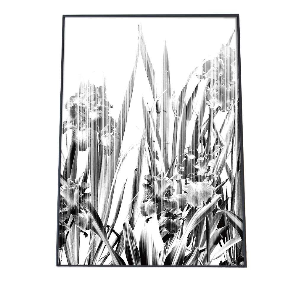 B2サイズ（約51x73cm）】【pbg-poster-2170】花 フラワー 植物 白黒 総
