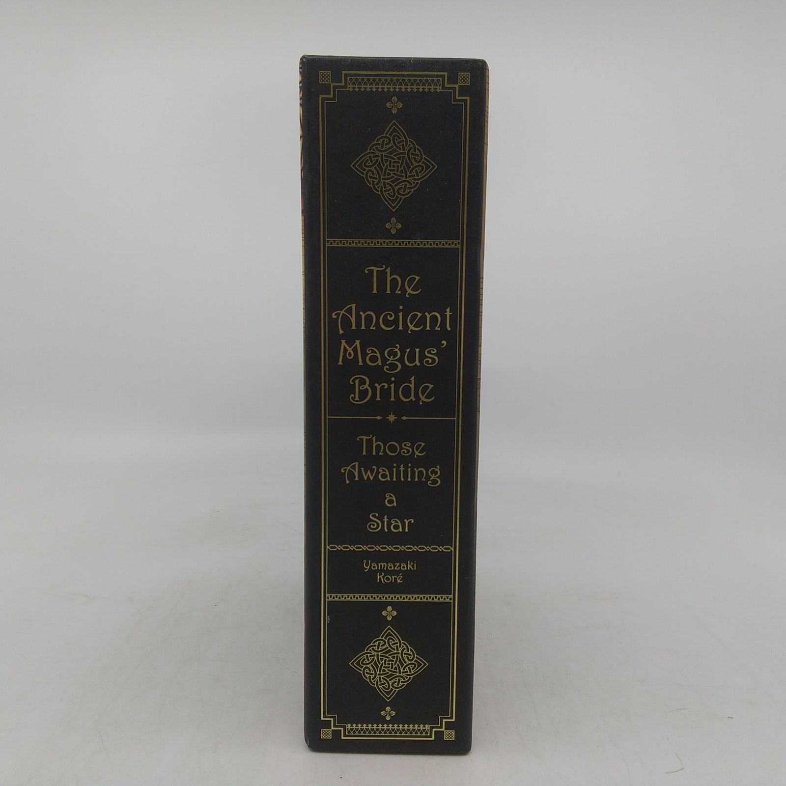 DVD BOX】魔法使いの嫁 星待つひと 3ディスクセット 前編・中編・後編