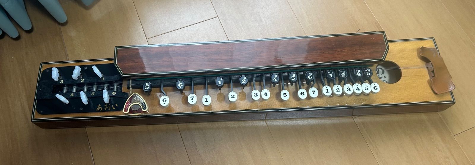 ライリッシュ 電気大正琴 ケース付き ライリッシュ 電気大正琴 ケース付き