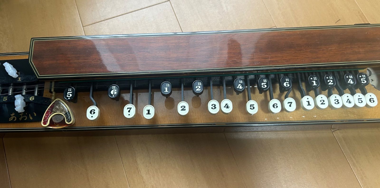 大正琴 ライリッシュ あおい ピック ハードケース付 - メルカリ