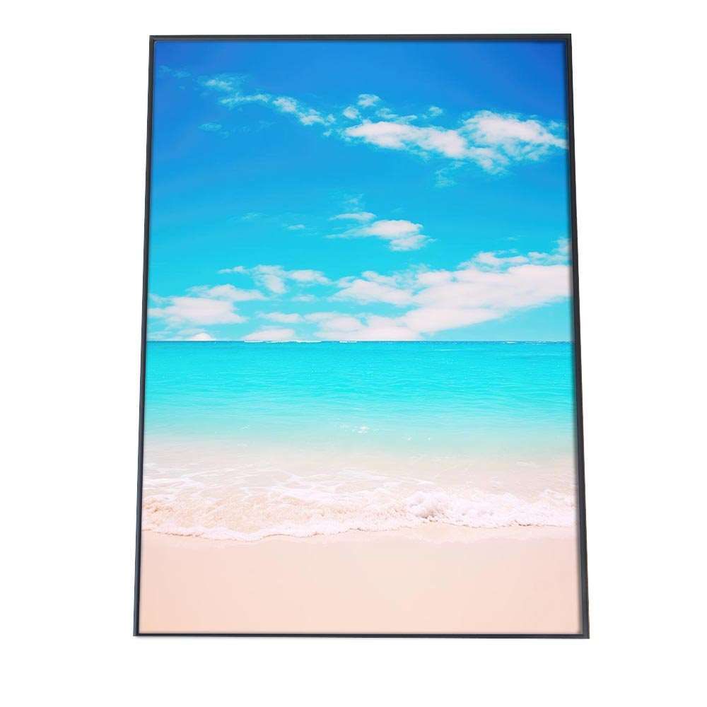 A 約59 x 84 cm si poster 1190 ポスター サーフ系 海 ブルー さわやか 海岸 ヤシの木 空 インテリア おしゃれ ファッション フォト オシャレ モダン