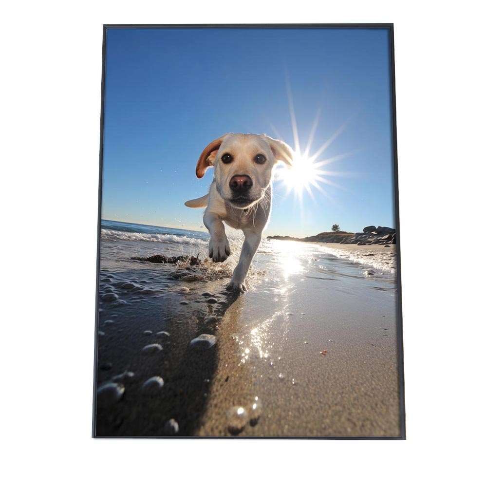 A 約42 x 59 cm si poster 1233 ポスター サーフ系 海 ブルー さわやか 海岸 ヤシの木 空 インテリア おしゃれ ファッション フォト オシャレ モダン