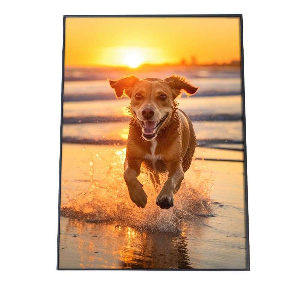 A 約42 x 59 cm si poster 1276 ポスター サーフ系 海 ブルー さわやか 海岸 ヤシの木 空 インテリア おしゃれ ファッション フォト オシャレ モダン