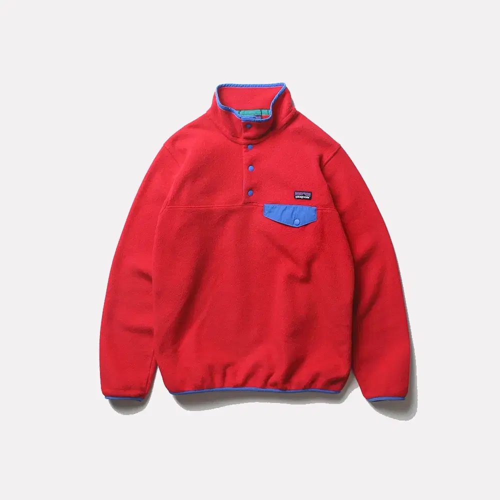 パタゴニア シンチラ _2656