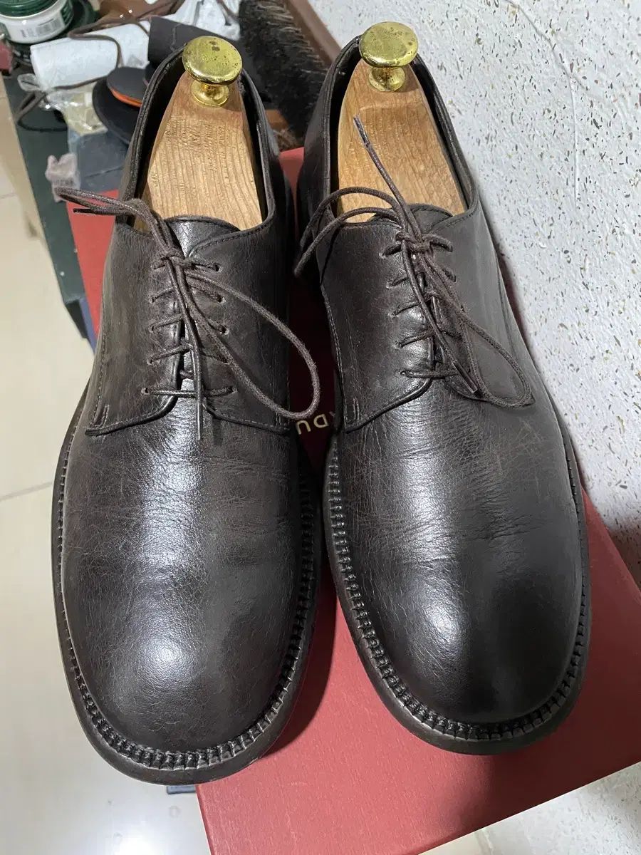 grds Blucher 08 ブラウン 260