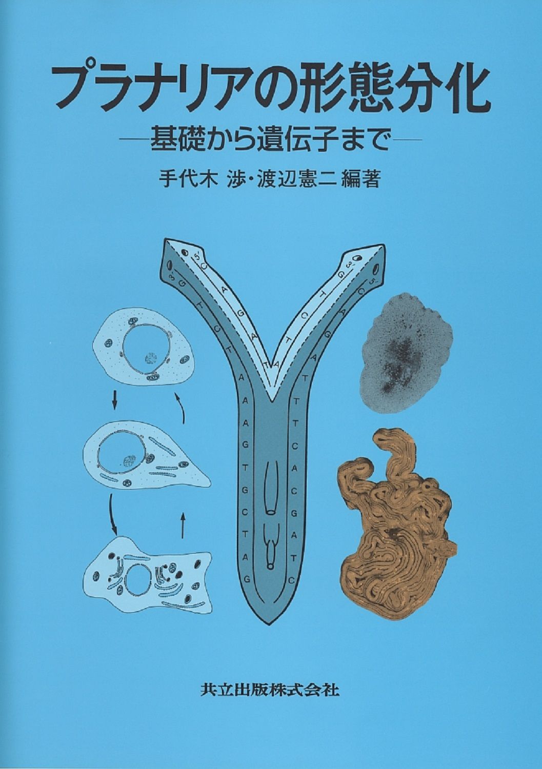プラナリアの形態分化 基礎から遺伝子まで 手代木渉 編著 渡辺憲二 単行本