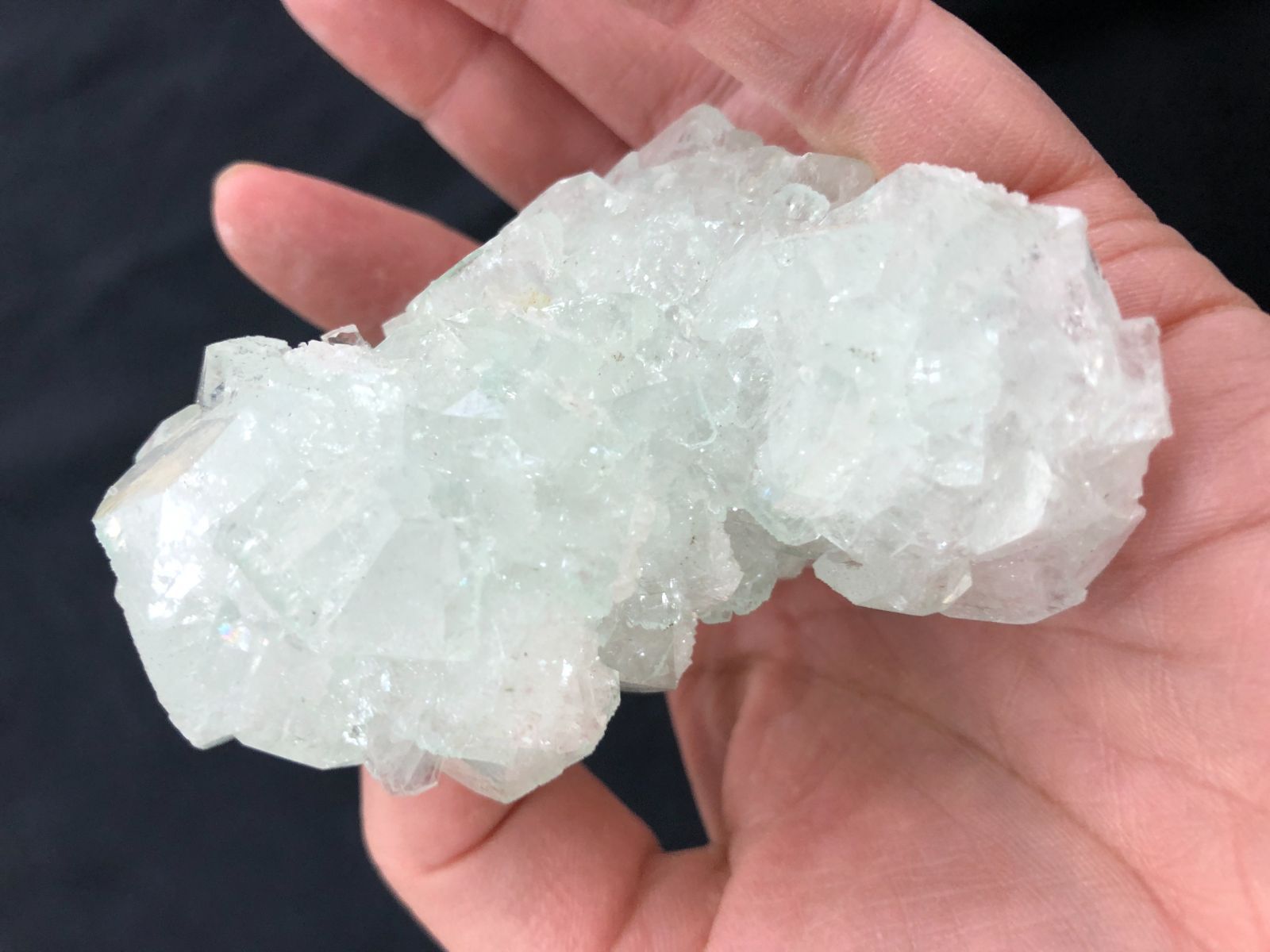 BOX グリーンカラー